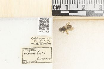 Media type: image;   Entomology 773306 Aspect: Labels